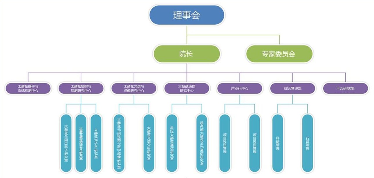 組織.jpg